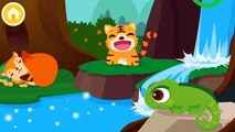 Baby Panda Learn Animal Traits and Behaviors Friends of The Forest Babybus Game for Kids