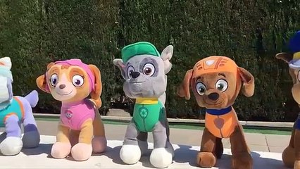 Patrulla Canina español EN LA PLAYA SALVA A UN DELFÍN y la fiesta acuática en la piscin
