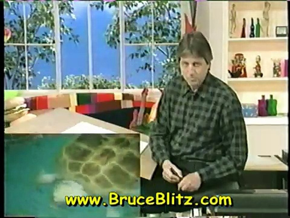 Bruce Blitz Draws a Cartoon Turtle