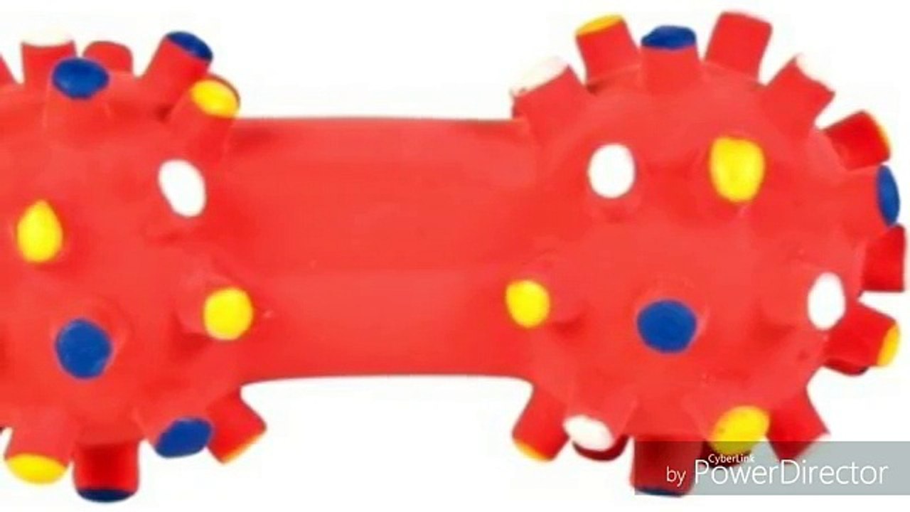 sonidos de jugetes para perros