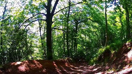 Find Your Life Purpose. GUIDED MEDITATION