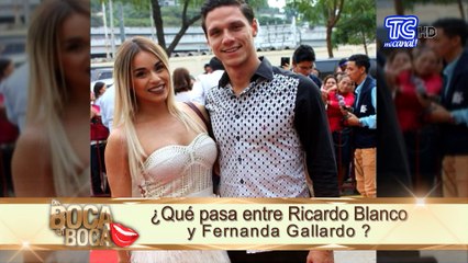 ¿Qué pasa entre Ricardo Blanco y Fernanda Gallardo?