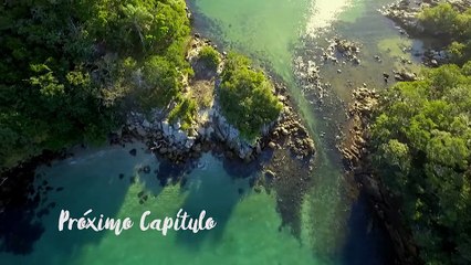 Sol Naciente - Martes 21 de agosto