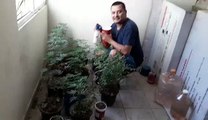 En mi jardin indoor sembrando plantas y hortalizas natural mistic agos2018
