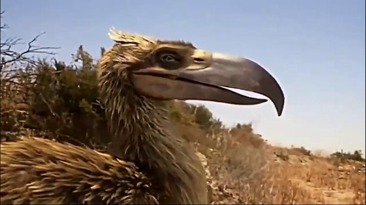 National Geographic Documentary HD Prehistoric Predators video