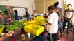 Students in the Bronx Use Old Science Lab to Grow 25,000 Pounds of Produce for School Lunches