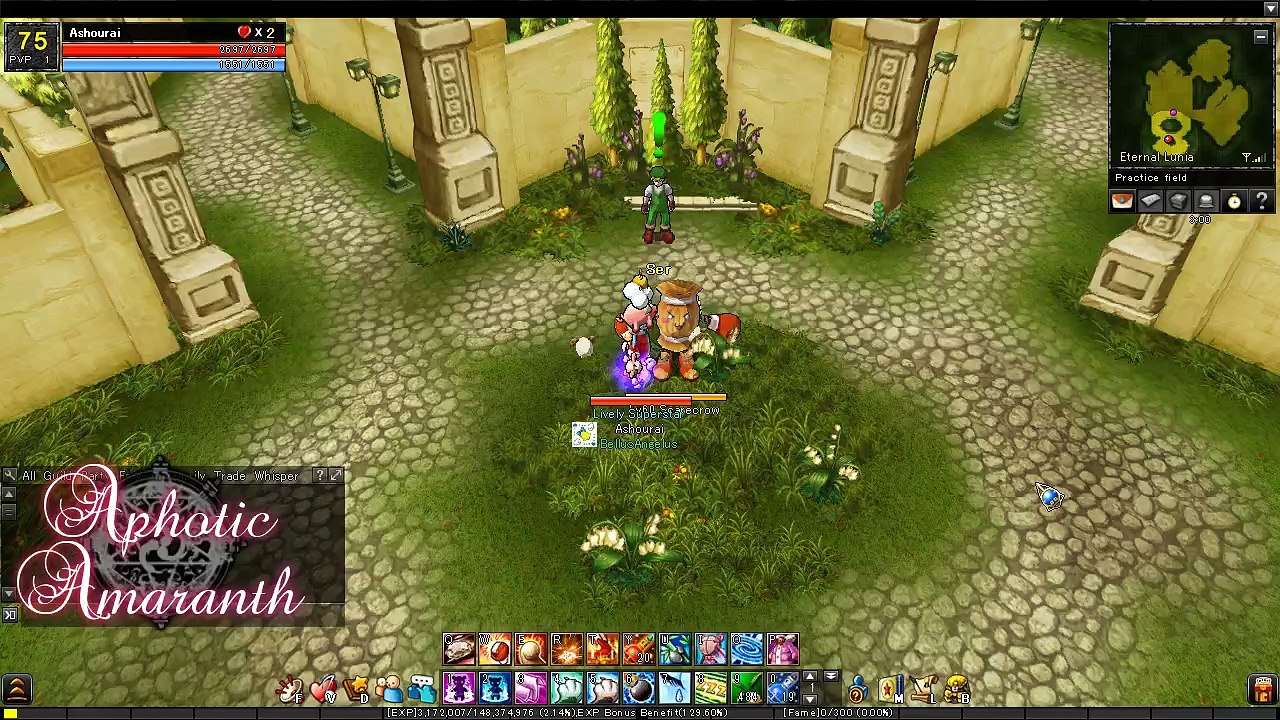 [Eternal Lunia] Dacy D311: Catch Catch Kick (Lv.8+)