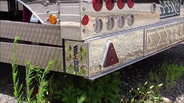 - Decorato - Trailer Ems Line 5555-＊デコトラ＊　トレーラー　エムエスライン　5555番