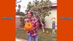 Top Zach King Magic Tricks new Best Halloween Magic Tricks Ever