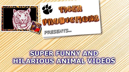 Warning: YOU MAY SUFFOCATE FROM LAUGHING Funny ANIMAL compilation