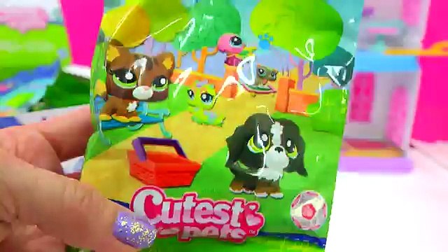 Littlest Pet Shop Cutest Pets Bobbleheads LPS Surprise Blind Bag Box Cookieswirlc