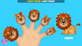 The Finger Family Lion Family Nursery Rhyme | Lion Finger Family Songs