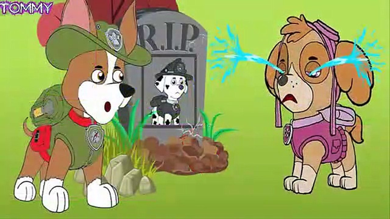 Tlapková Patrola Paw Patrol #205 Kids Cartoon Movie Canzoni Per Bambini , Tv hd 2019 cinema comedy action