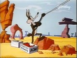 Wile E. Coyote And Road Runner - (Ep. 34) - Hairied And Hurried
