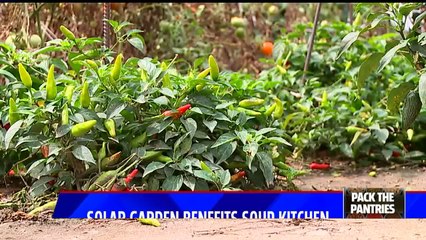 Télécharger la video: Indiana Church`s Solar Garden Helps Feed Local Homeless