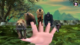 Finger Family || TIGER & CROCODILE Version || Children Animated 3D Rhymes