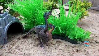 Dino Eggs Hatchlings in the Sand Fun Dinosaurs Toys For Kids Video