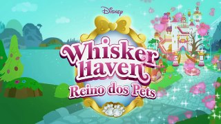 Whisker Haven Reino dos Pets – O Aniversário de Dreamy