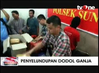 Download Video: Polisi Gagalkan Penyelundupan Dodol Ganja