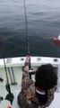 Un enfant se fait voler son poisson au bout de sa canne à pêche par un requin blanc