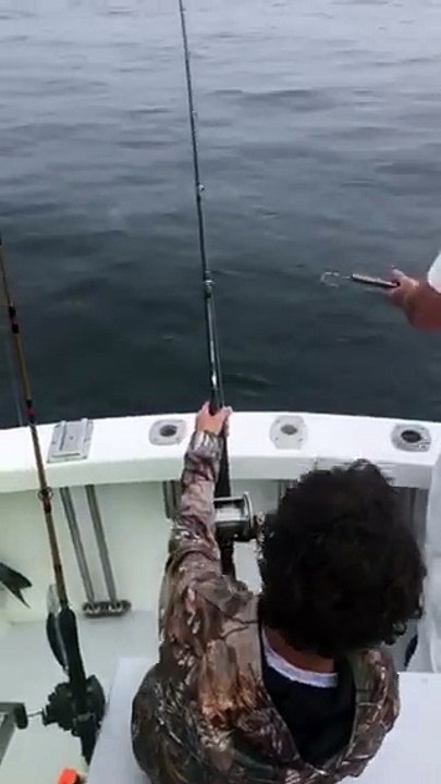 Un enfant se fait voler son poisson au bout de sa canne à pêche par un requin blanc