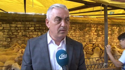 Eyüpsultan'da 50 şehit için 50 kurban kesildi