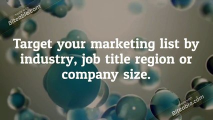 New Zealand Directors Business Email List Providers