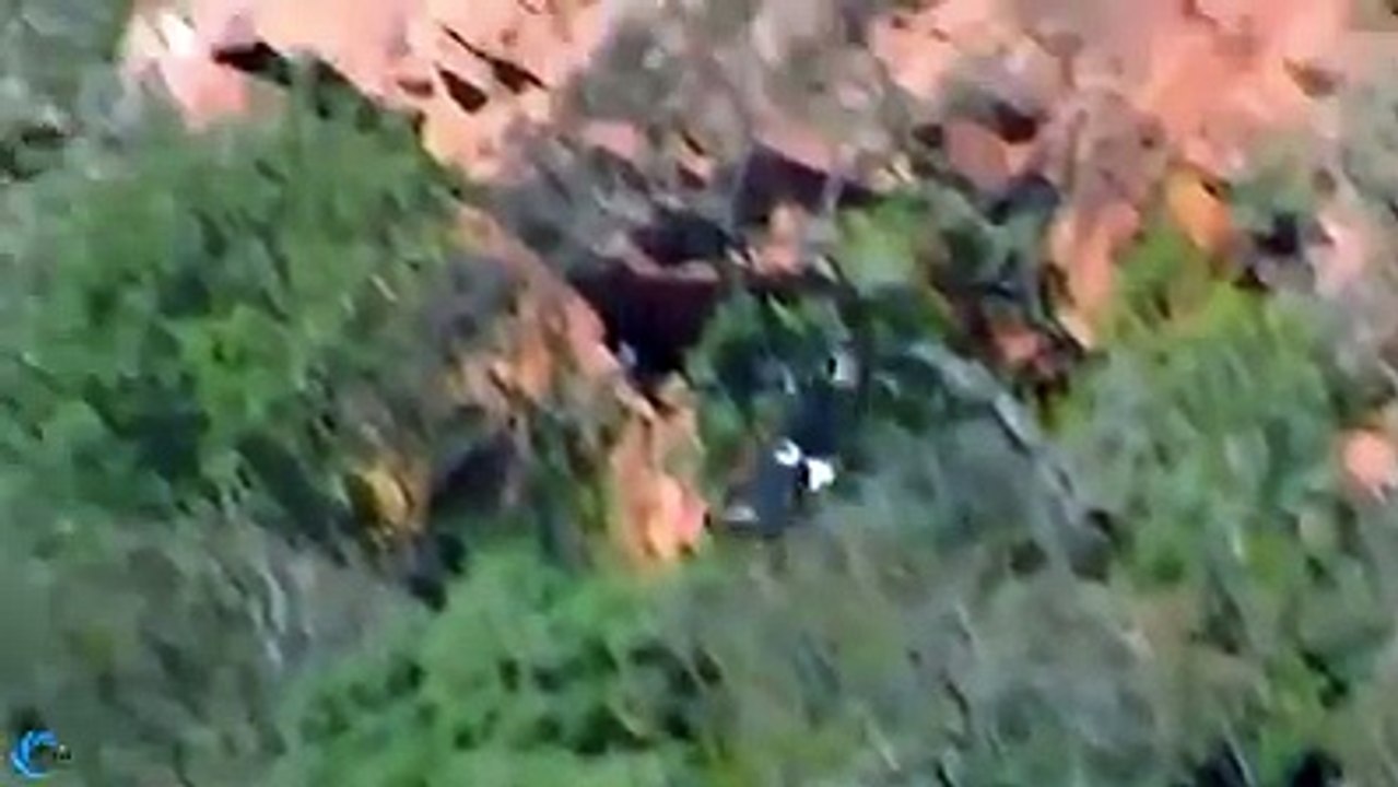 Eagle vs Snake 