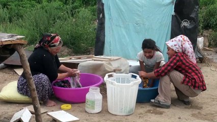 Mevsimlik tarım işçileri bayramı tarlada geçiriyor - ANKARA