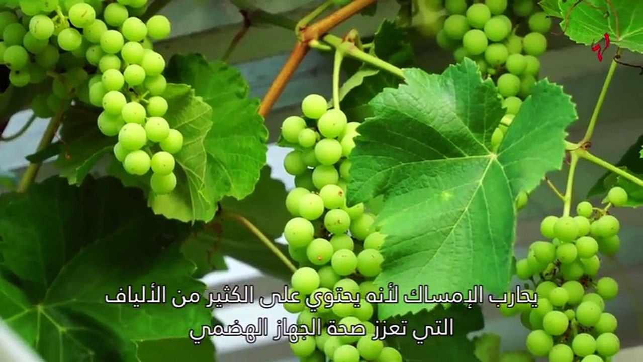 5 فوائد صحية مذهلة للعنب... إكتشفيها!