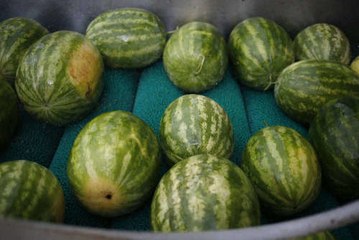 5 aliments que vous ne devriez pas mettre au congélateur