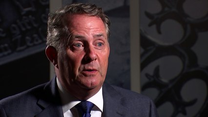 Liam Fox: Choice is between people's or bureaucrats' Brexit