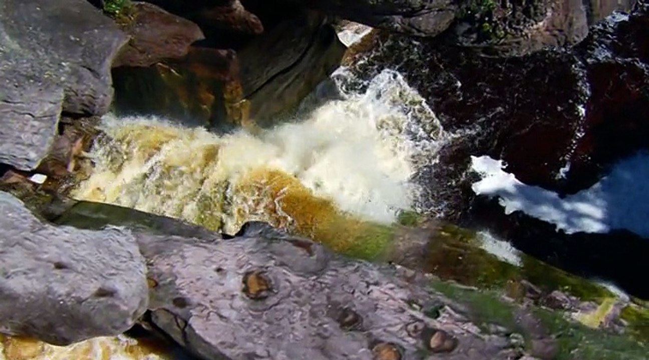 Secrets of Our Living Planet S01 E04 - Waterworlds