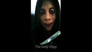 Real Video of MOMO / Real Face of MOMO | The Daily Vlogs