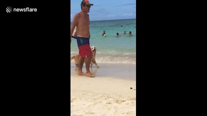 Heart-stopping moment 4 men avoid falling off dam’s crest after boat’s motto fails