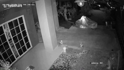 Ghost rider caught on camera pushing over Harley Davidson motorbike