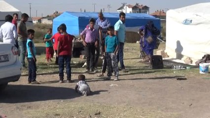 Urfalı Tarım İşçilerinin Çadırda Kurban Kesimi