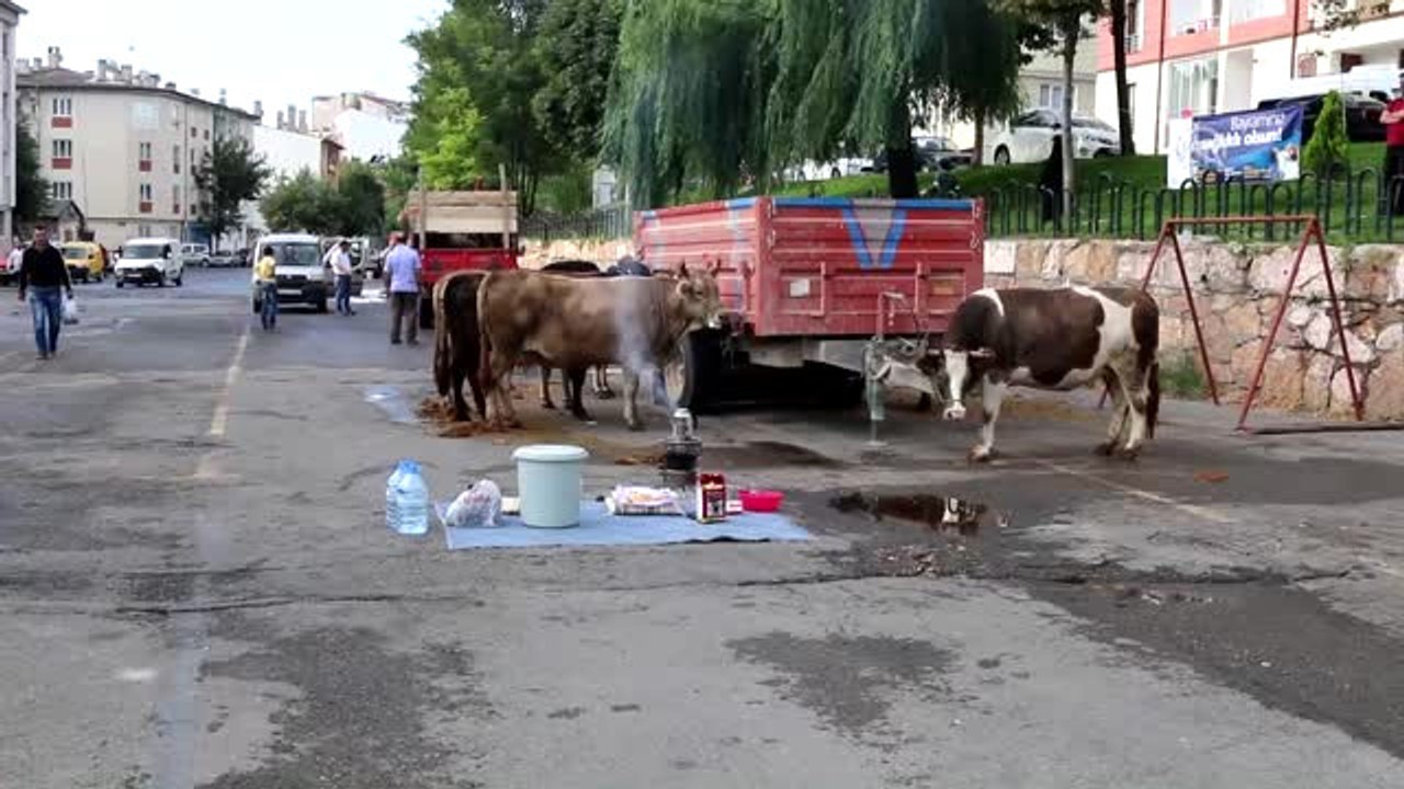Kurban Bayramı - Kurban Kesimi