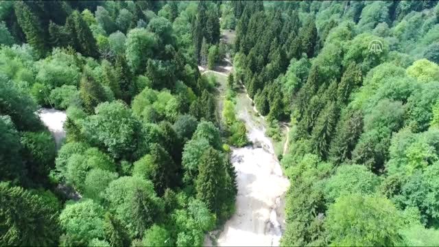 Doğaseverlerin Uğrak Noktası: Kuzalan Tabiat Parkı