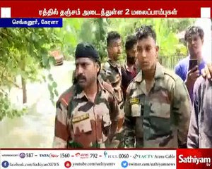 கேரள வெள்ளத்தால் பாதிக்கப்பட்டுள்ள மரத்தில் தஞ்சம் அடைந்துள்ள 2 மலைப்பாம்புகள்