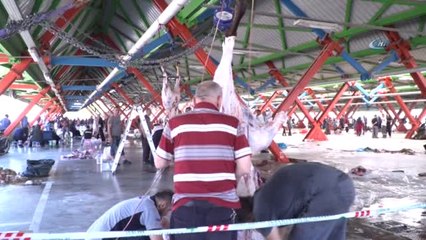 Osmangazi'de Hijyenik Kurban Kesimi