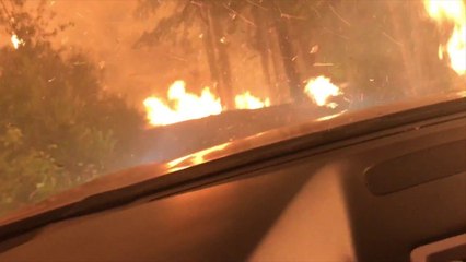 Pris au piège au milieu d’un feu de forêt