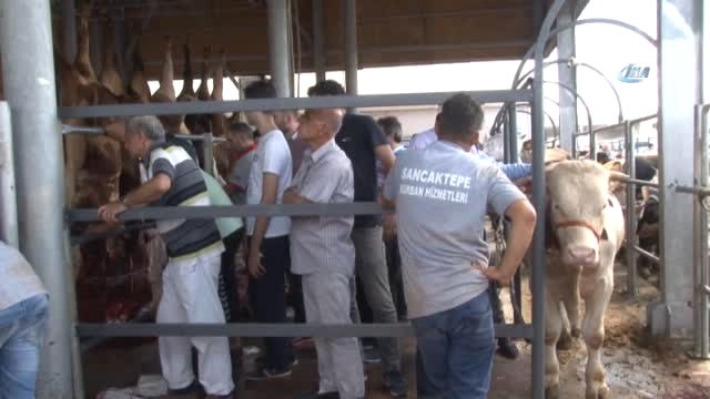 Sancaktepe'de Kurban Bayramı Coşkusu