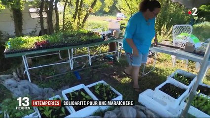 Intempéries : solidarité pour une maraîchère en Gironde