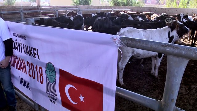 Hüdayi Vakfı'ndan Erbil'de kurban yardımı - ERBİL