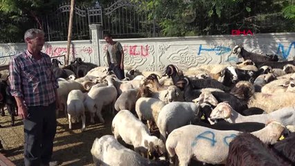 Konya Kurban Kesim Yerinde Hijyen Sorunu