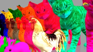 Learn Colors with Colorful Cats For Children || Learn with 3D Animals || Kids Learning Vid