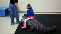 Une petite fille fait un tour dalligator