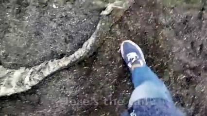 Un mystérieux monstre des mers s'échoue en Russie