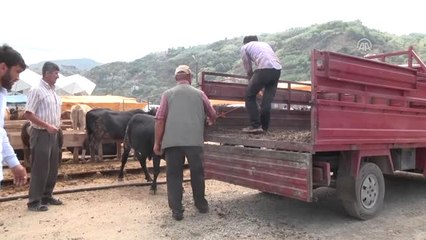 Kurban Bayramı Kutlanıyor